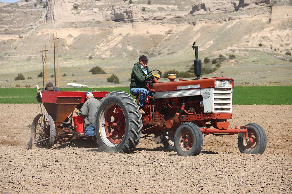 Legacy of the Plains Potatoes